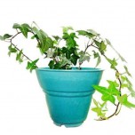 Plant Fibre Flower Pot-1029